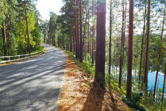 Forest road through the Northern forest. The landscape is coniferous in the wild.