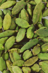 cardamom isolated on white