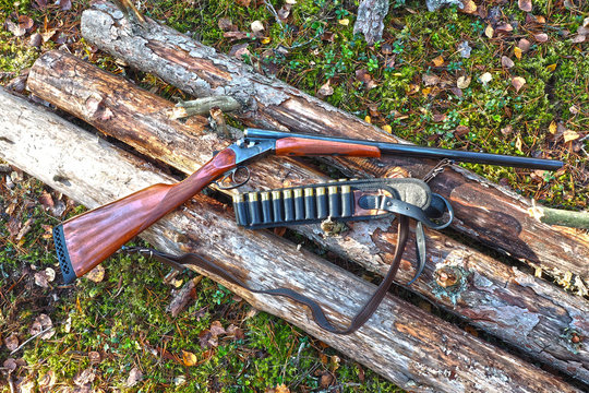 Gun and bandolier with bullets of the hunter. Hunting in the forest in summer. 