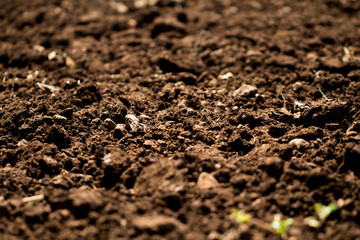 Plowed soil in the field texture