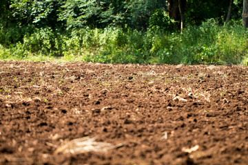 Plowed soil in the field texture