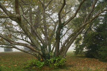 Bally Park bei Olten / Schönenwerd