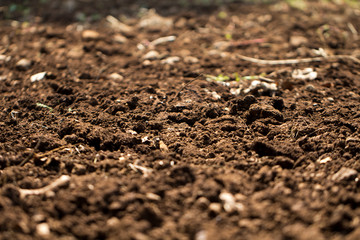 Plowed soil in the field texture