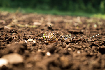 Plowed soil in the field texture