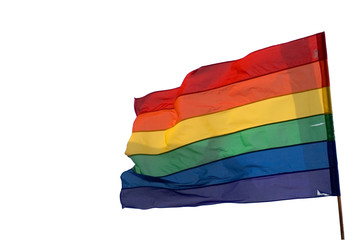 Gay Flag on white background