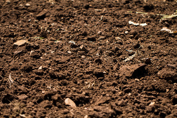 Plowed soil in the field texture