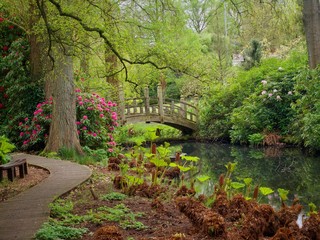 English Spring Garden 