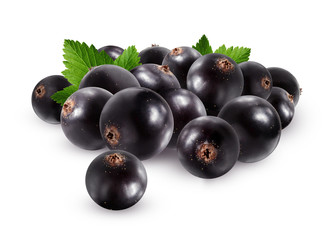 Black currant isolated on white background.