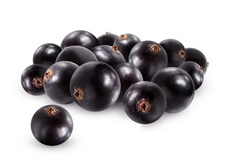 Black currant isolated on white background.