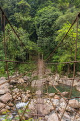 Suspension bridge near Nongriat village, Cherrapunjee, Meghalaya, India.