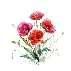 Fotobehang Klaprozen Boeket van papaver bloemen. Hand getekende aquarel illustratie. Prachtige rode kleuren bloemen elementen voor ontwerp geïsoleerd op een witte achtergrond. Voor huwelijksuitnodigingen, wenskaarten, afspraakjes.