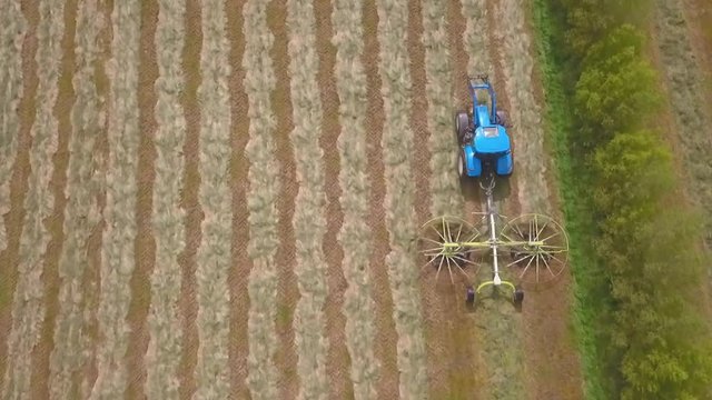 Overhead view of tractor racking hay into rows to prepare for baling on a Waitepeka, New Zealand, farm.