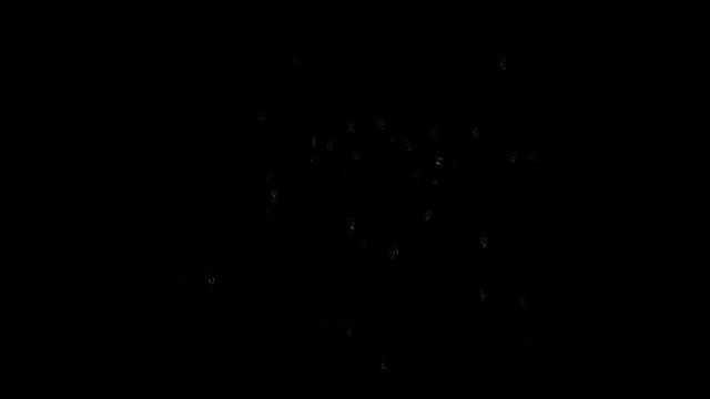 Fireworks animation with optional luma matte. Alpha Luma Matte included. 4k video