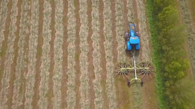 Slow motion overhead view of tractor racking hay into rows to prepare for baling on a Waitepeka, New Zealand, farm.