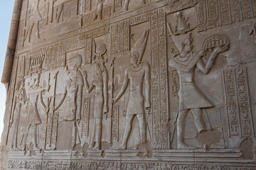 Hieroglyphic carvings on an ancient egyptian temple wall