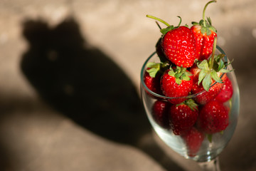 Strawberries in a long stemmed glass