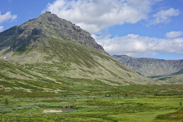 Mount Lzhemanaraga (False Manaraga) and valley of Stream Kapkan-Vozh in summer day. Nature landscape. Subarctic Ural, Komi, Russia. - 237852803