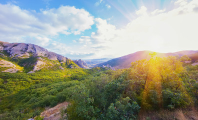 Mountain chain covered with trees and bushes.