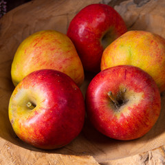 Malus sylvestris, the tasty European crab apple,