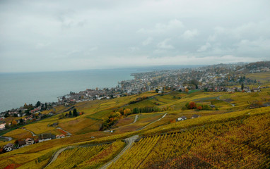 Fototapeta na wymiar Lutry - Cully: Colourfull landscape of the Unesco world heritage Lavaux along Lake Genève.