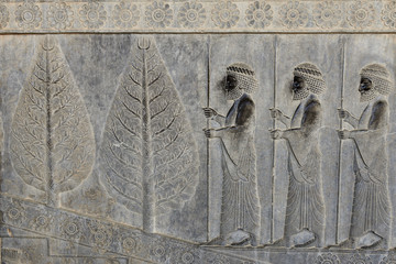 The beautiful reliefs in the ruins of Ancient Persepolis Complex of Near Eastern civilisation with...