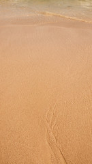 Sand on the beach. Wet sand on a tropical beach