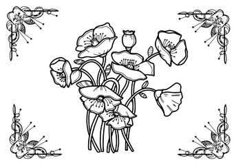 Poppy. In frame. Illustration in line art style. Black line on white background. Coloring for adults.