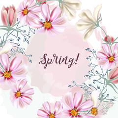 Fototapeta na wymiar Cute vector spring illustration with pink cosmos flowers