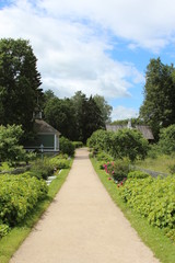 Path in the village