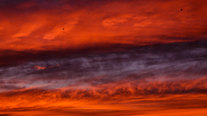 Epic, virbant orange and blue sunset with cloud bands and two small birds.