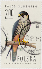 A postage stamp printed in Poland shows Eurasian hobby - Falco subbuteo, circa 1974