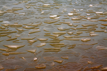 Ice floating on the water