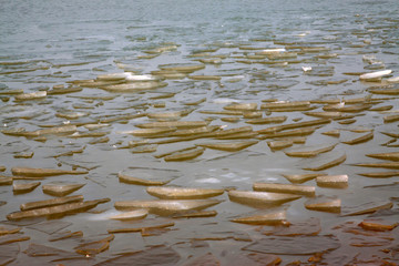 Ice floating on the water