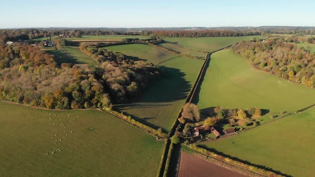 Aerial shot over a farm and paddocks with sheep in the beautiful Chiltern Hills, United Kingdom.