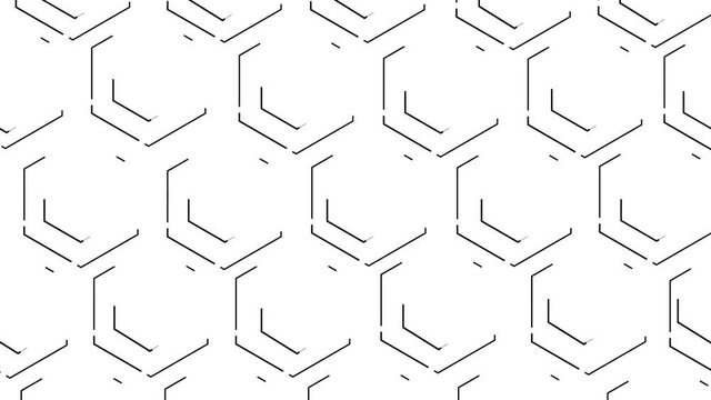 Double bee honeycomb hexagons are highlighted with black lines. White background