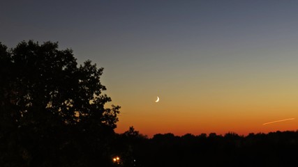 Beautiful Sunset Scene in Clouds with Trees Forest Silhouette and Moon