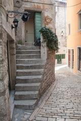 Obraz premium Ступеньки