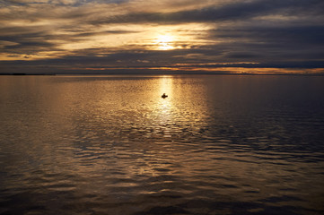 sunset on the Neva Bay