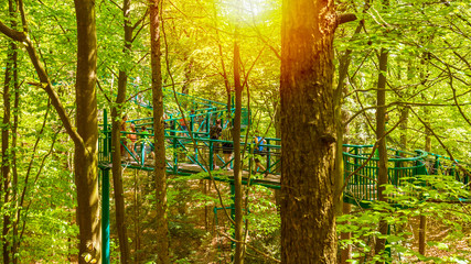Manmade structure and bridge to experience a treetops adventure challenge in a forest