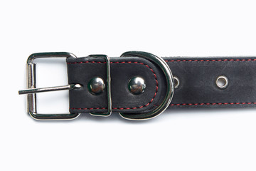 Adjustable dog collar on white background.