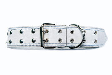 Adjustable dog collar on white background. - obrazy, fototapety, plakaty