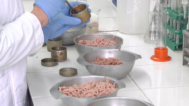 Lab worker analyzing meat sample magnifying glass. Laboratory studies of meat and meat products. Checking meat for compliance with sanitary requirements.