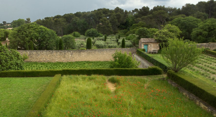 Fields of Poppy and Lavender in Provence, France, at the Van Gogh Saint Paul de Mausole Monastery