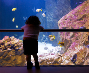 Little girl watching fishes in a large aquarium