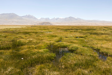Landscape in the Pamir Mountains near Alichur in Tajikistan