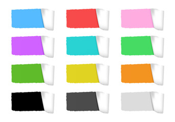 ripped paper. vector set