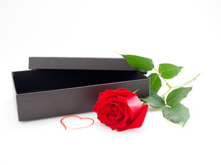Red Roses with Gift Box on Valentine's Day