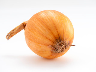 Single Ripe Onions on white background