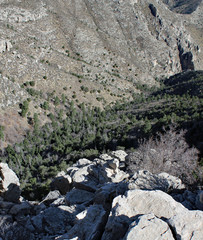 Karge Berglandschaft in Texas