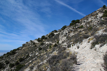 Bergauf: Wanderweg in Guadalupe Mountains Nationalpark / Texas